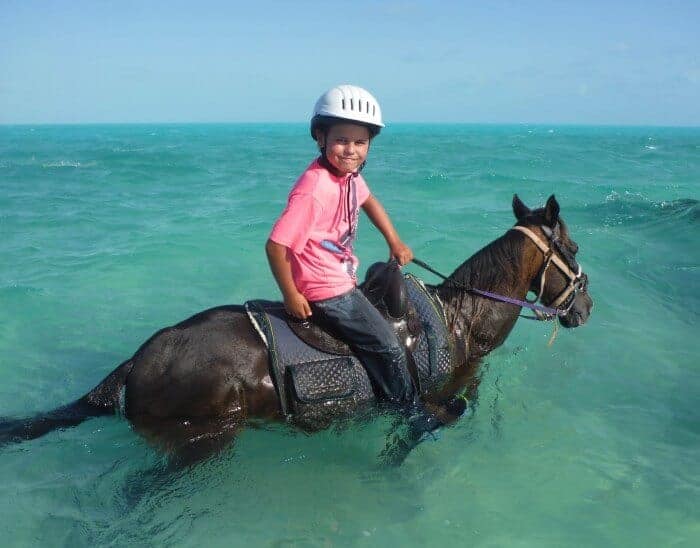 Provo Ponies in Providenciales
