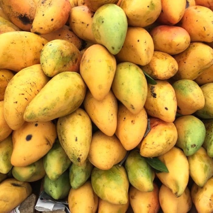 Mangos in Sunday street market in Playa del Carmen Mexico