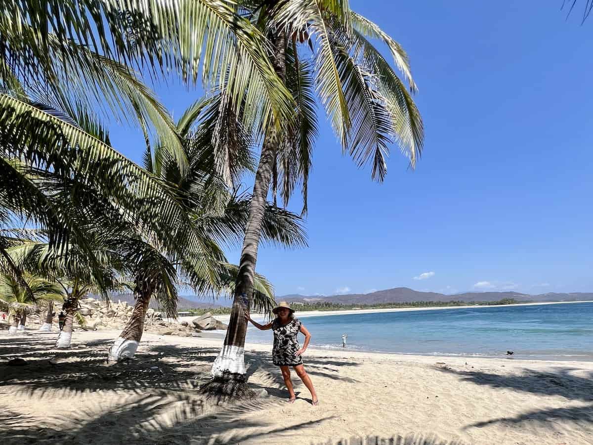 Palm trees at Playa Roca Blanca.