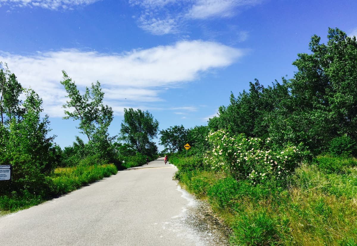 People cycling and walking at Leslie Spit in Tommy Thompson Park in Toronto, Canada.