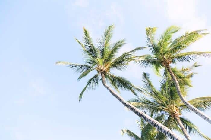 Caribbean Credit Sebastien Gabriel