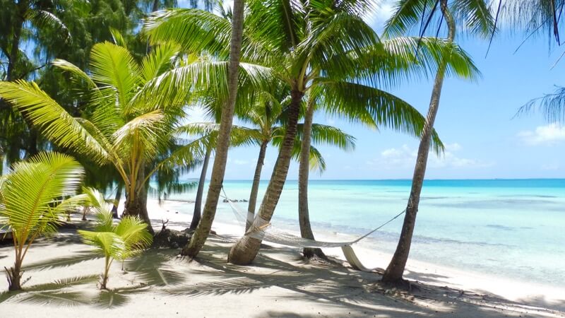 Beach hammock and palm trees at Tikehau Resort French Polynesia.