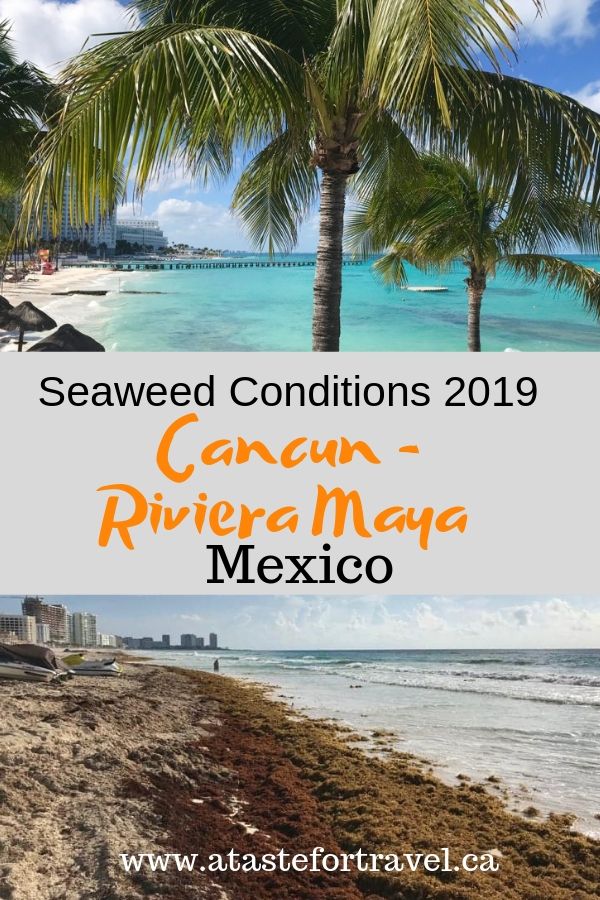 Coral beach in Cancun with Pinterest text.  