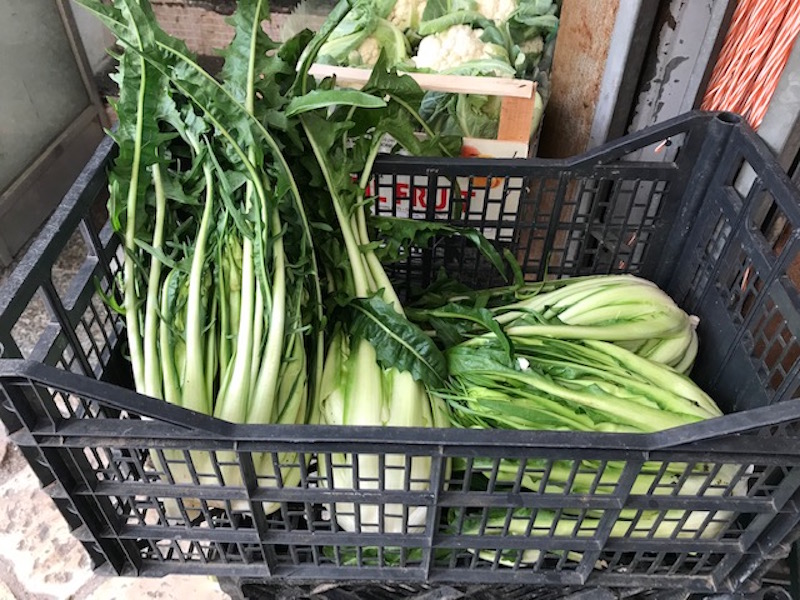 Bunches of fresh chicory in the market in Gallipoli, Italy.