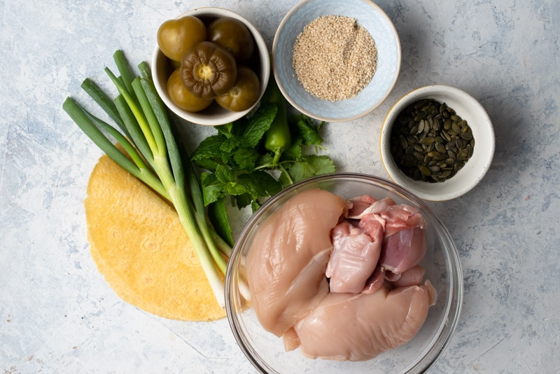 Ingredients for Jocon Guatemalateco.