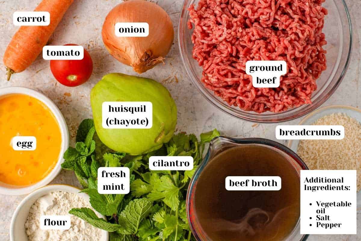 Ingredients for Sopa de Albondigas