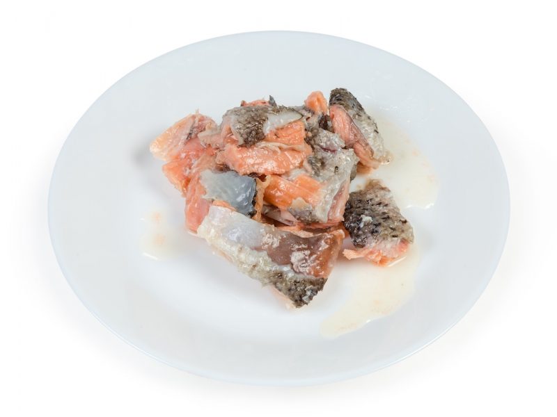 canned salmon on a plate dp 