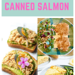 best canned salmon recipes