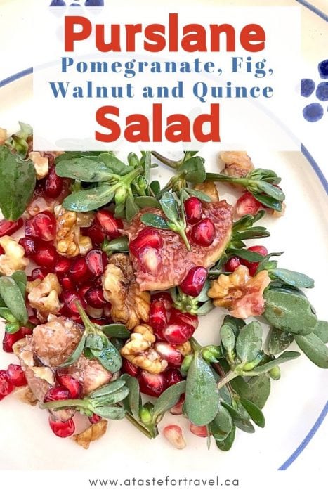 Italian Purslane Salad Pinterest