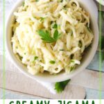 Mexican salad with jicama