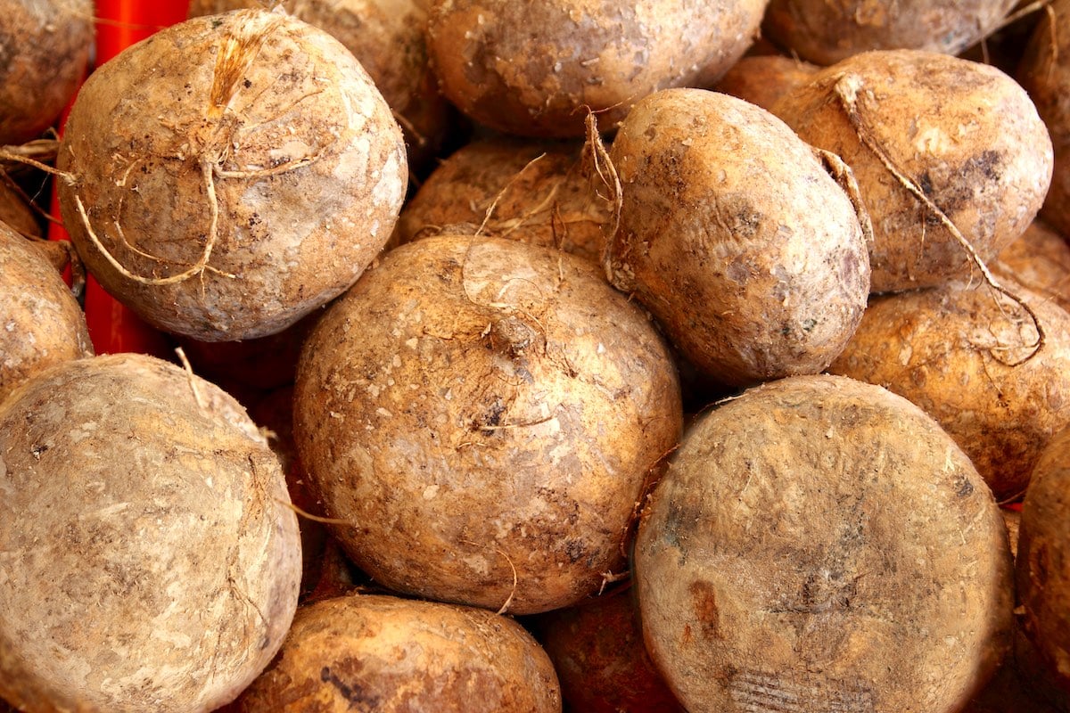 Box of jicama vegetables.