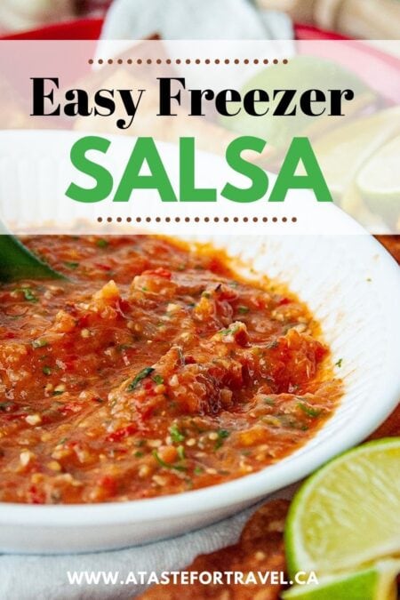 Close-up of freezer salsa with text overlay.