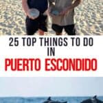 Dolphin and baby turtle release tours in Puerto Escondido, Mexico.