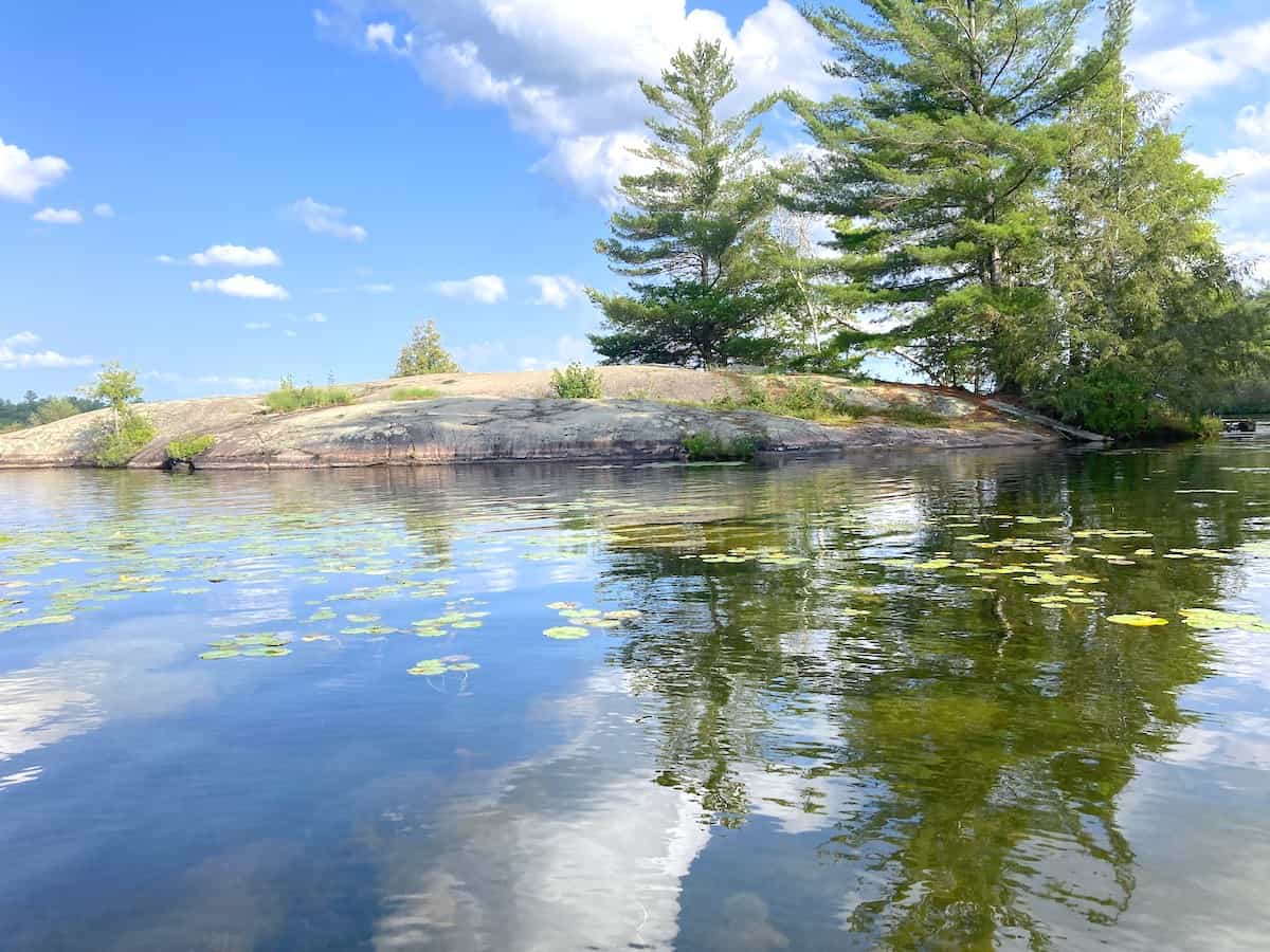 View of rocks and pine on Stoney Lake.