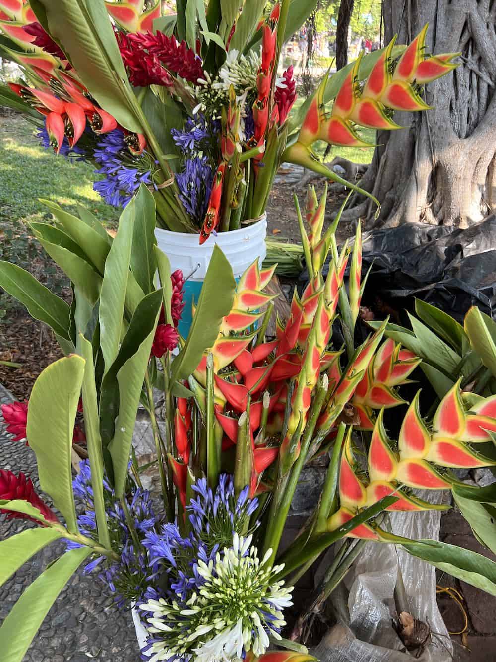Fresh flowers at the Huatulco Organic Market. 