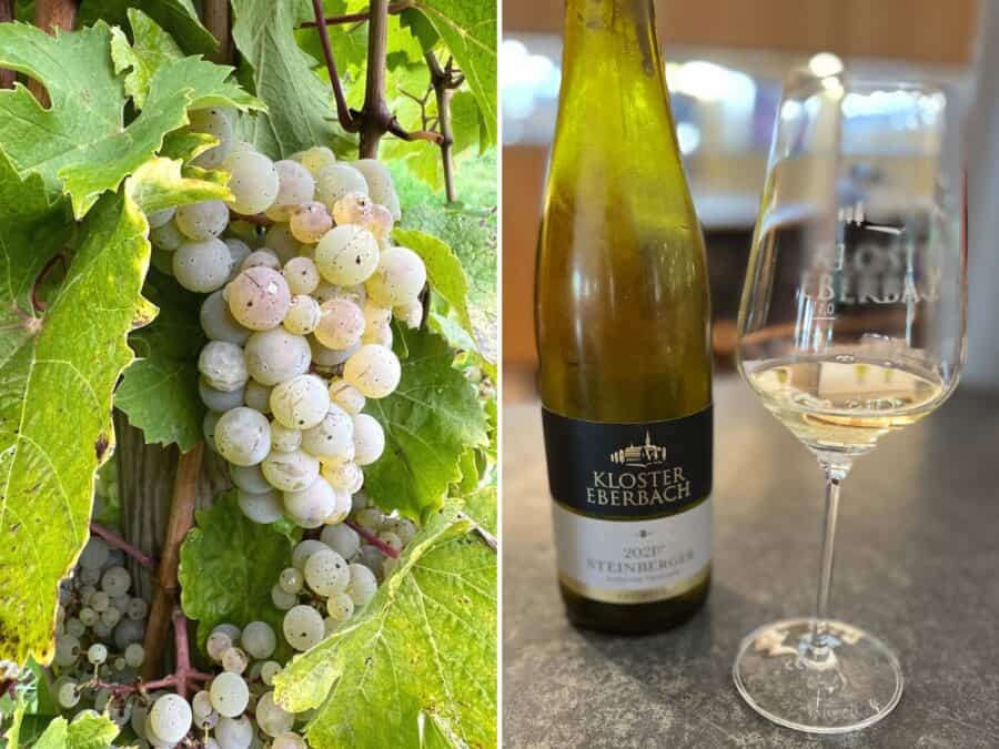 A collage of grapes and a bottle of wine with a glass.