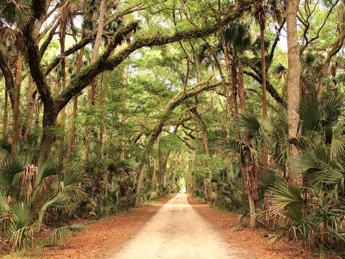 Tree-shaded trail at Bulow Plantation Ruins Historic State Park.