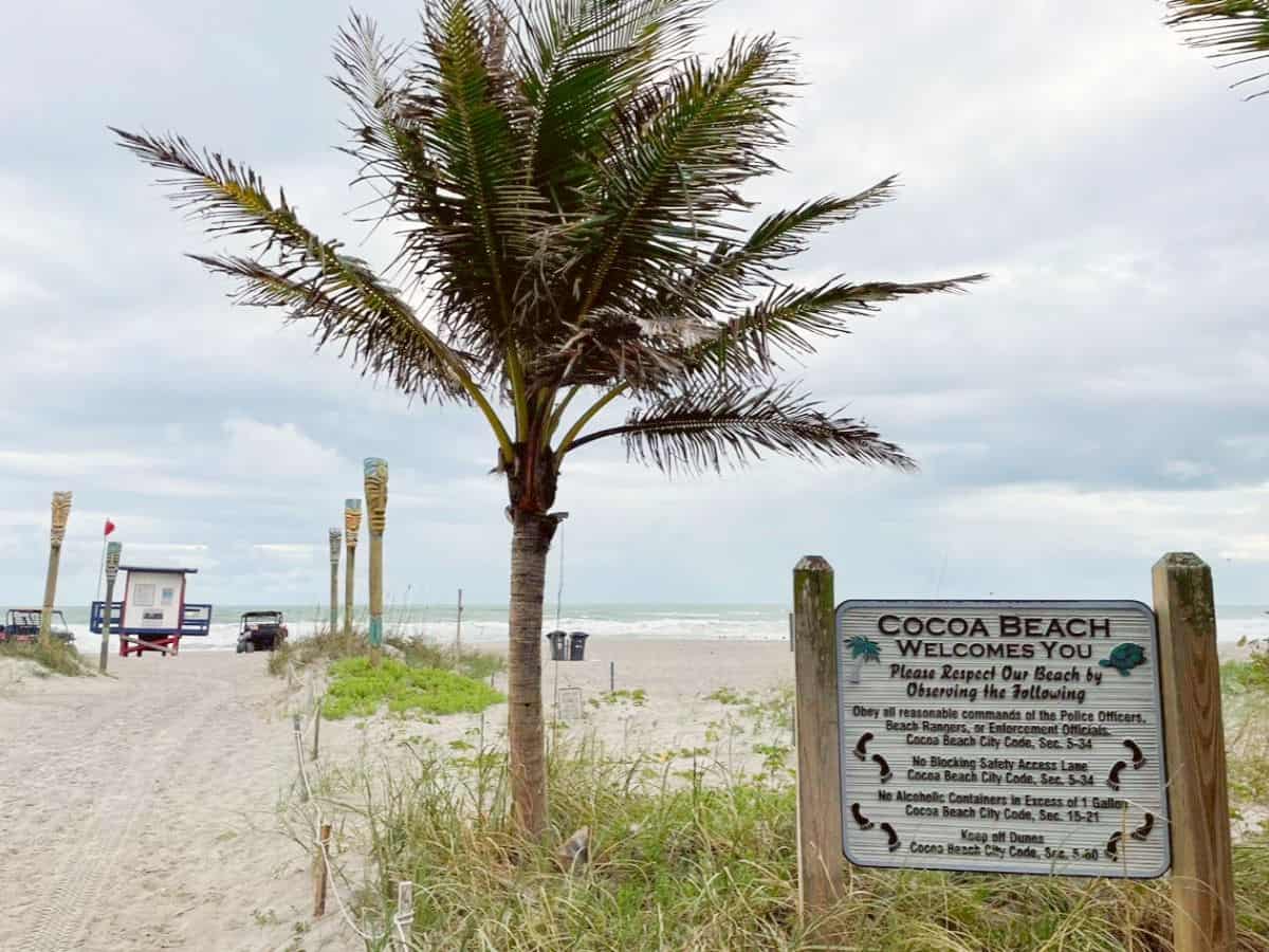 Cocoa Beach entrance with sign and palm tree. Cocoa Beach entrance with sign and palm tree.
