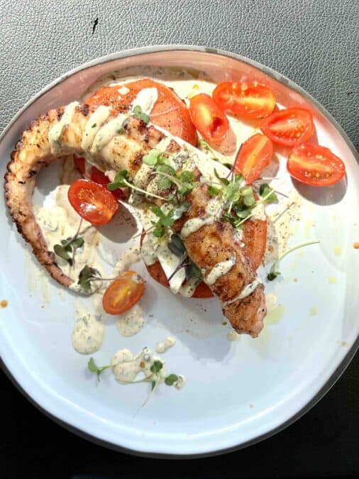 Octopus on a white plate drizzled with sauce. 