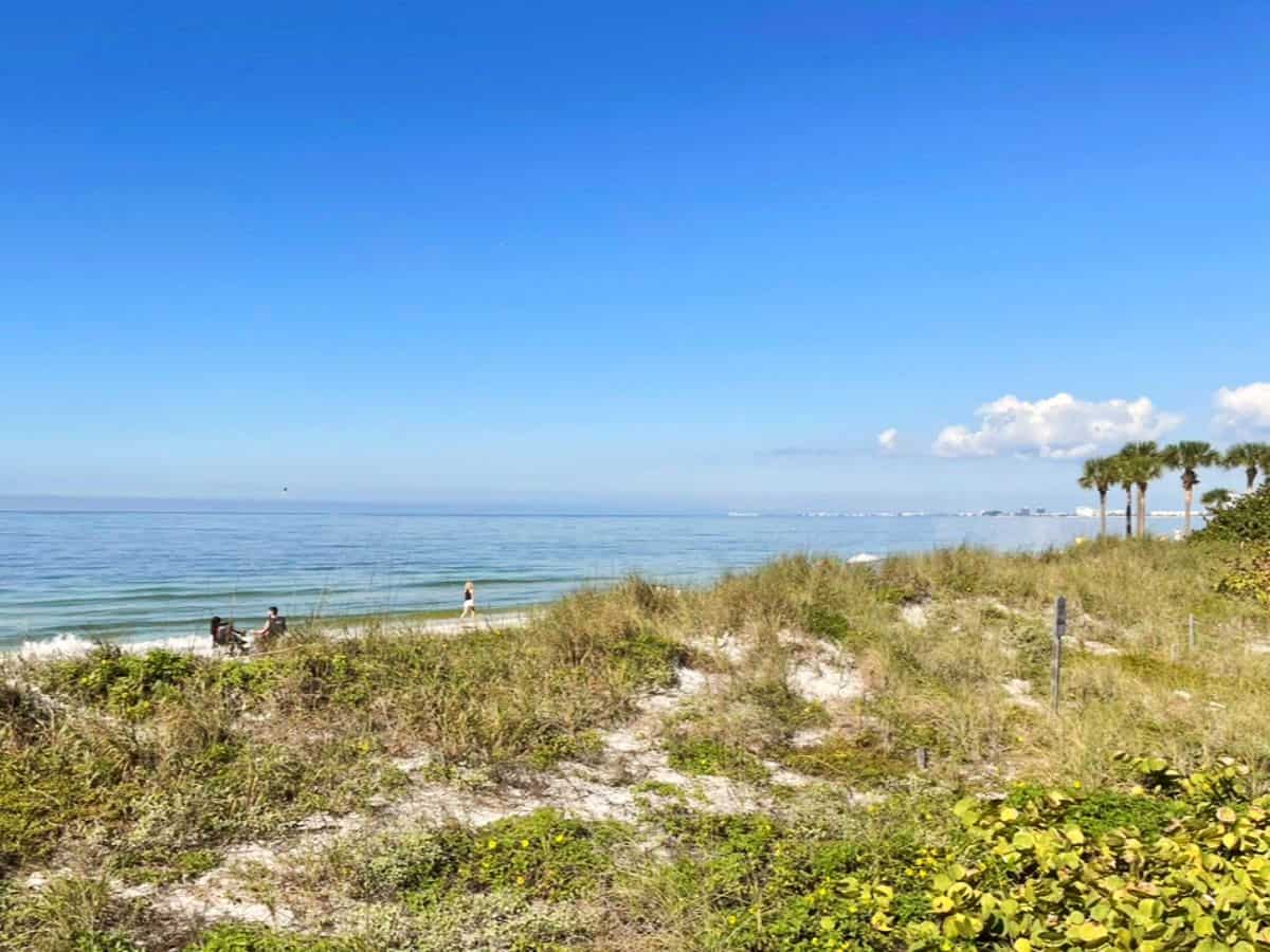 Ocean view with palm trees on Pass A Grille beach. Ocean view with palm trees on Pass A Grille beach.