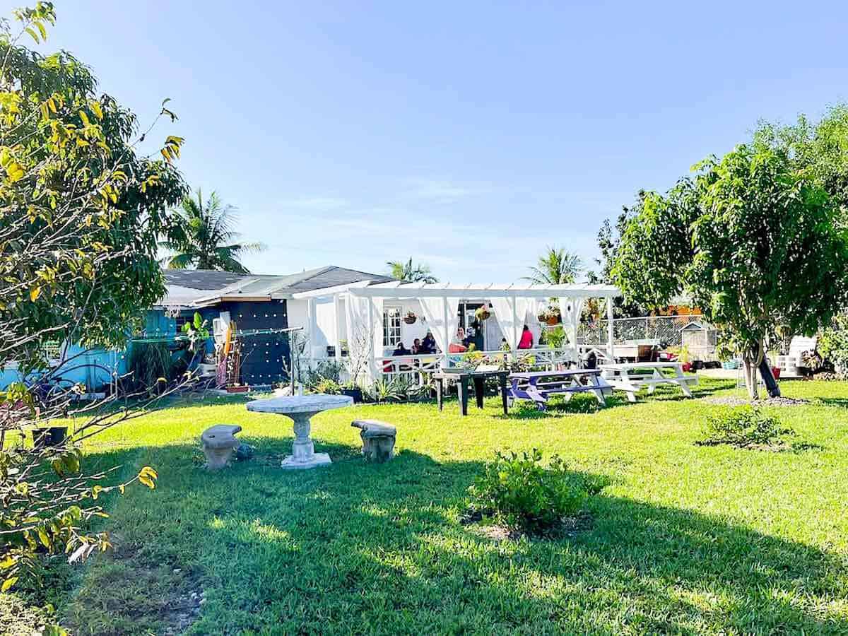 Backyard and gardens. 