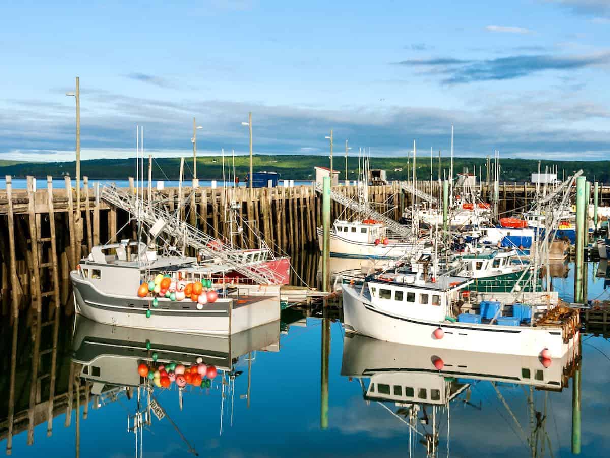 Fishing boats in the harbour in Digby, Nova Scotia.