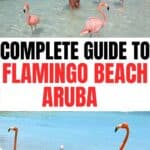 Collage of Woman on Flamingo Beach in Aruba.