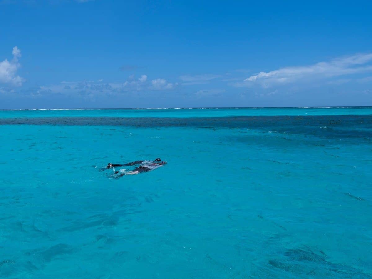 Two people snorkeling in the ocean. 