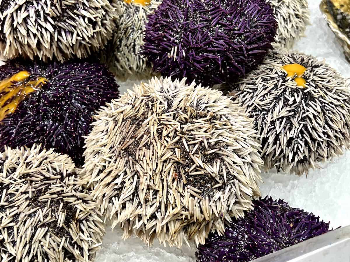 Mediterranean seafood on display at Mercat de la Boqueria in Barcelona.