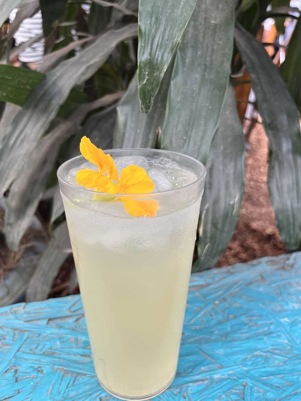 Limonada at Caoba Farms, a farm to table restaurant in La Antigua.