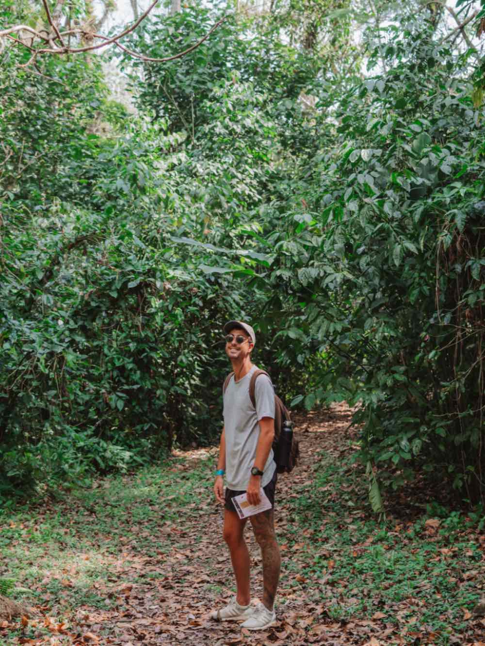 Man enjoying some rainforest hiking.
