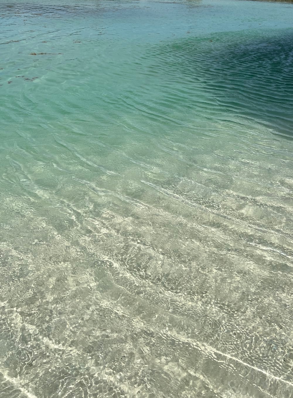 Great visibility at the Hard Rock Hotel Riviera Maya even during height of seaweed season in 2024. 