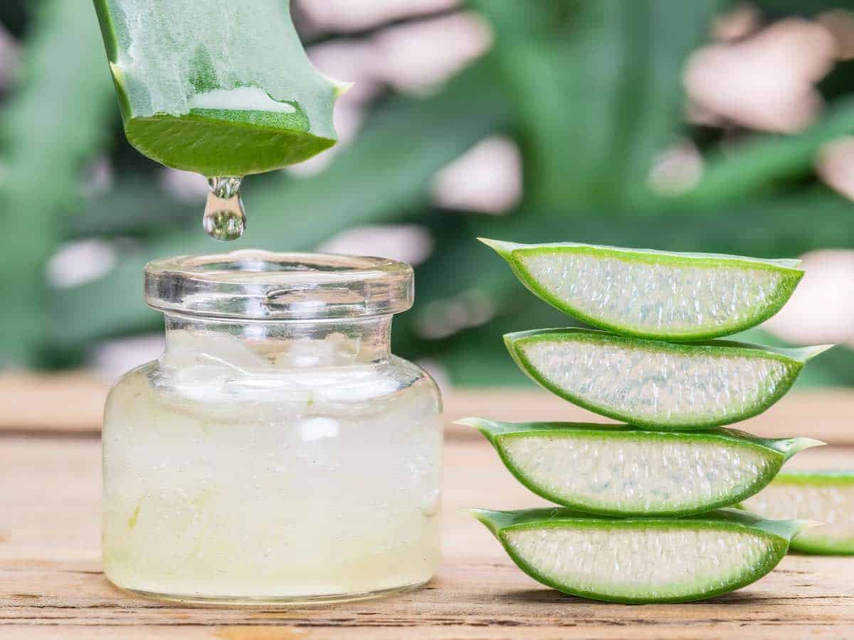 Aloe vera gel and leaves on a table. 