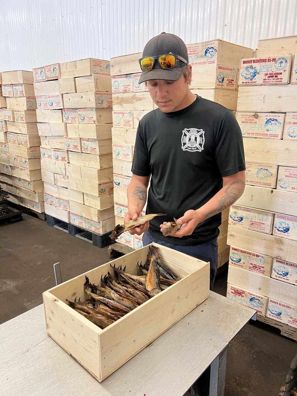 Packing smoked herring in wooden crates. 