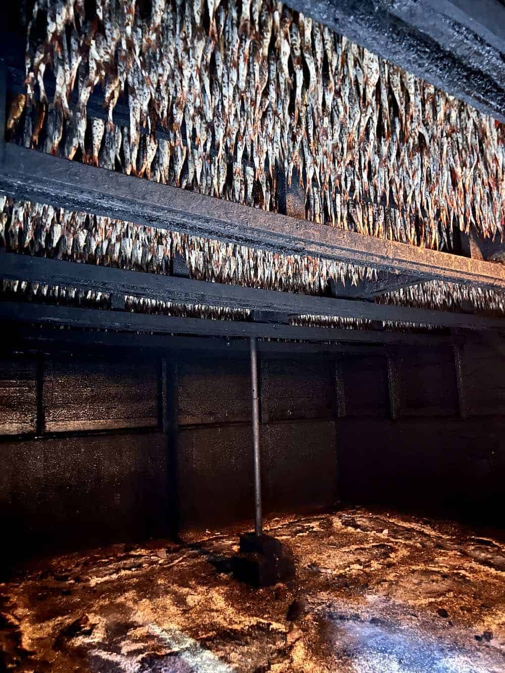 Smoked herring in an Acadian smokehouse in Cap Pele New Brunswick.
