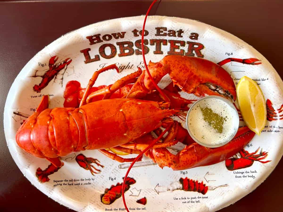 A platter of fresh New Brunswick lobster.