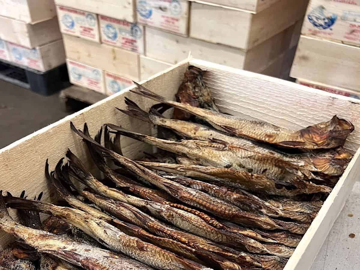 New Brunswick smoked herring in a wooden box ready for export to the Caribbean.