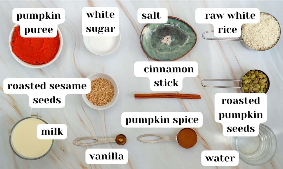 Labelled ingredients for pumpkin spice horchata including raw white rice, roasted pumpkin seeds, cinnamon stick, salt, water, pumpkin spice, vanilla, roasted sesame seeds, vanilla, milk, white sugar and pumpkin puree.