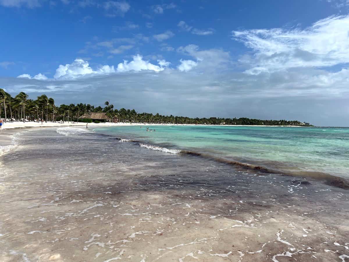 Sargassum beach at Barceló Maya Caribe in Puerto Aventuras.