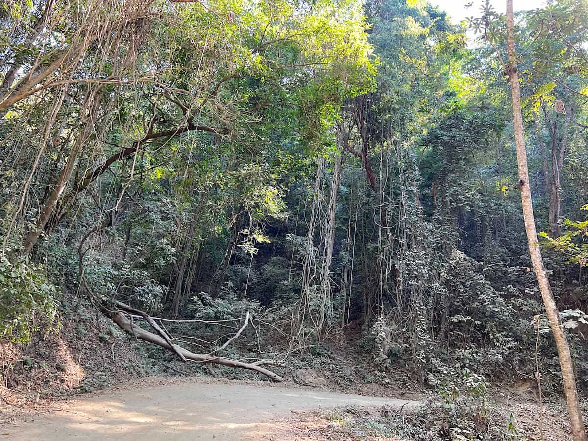 Dirt road near waterfalls at San Miguel del Puerto.