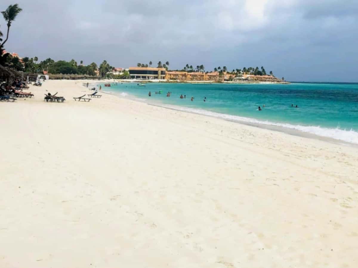 Druif Beach with no seaweed in Aruba. 